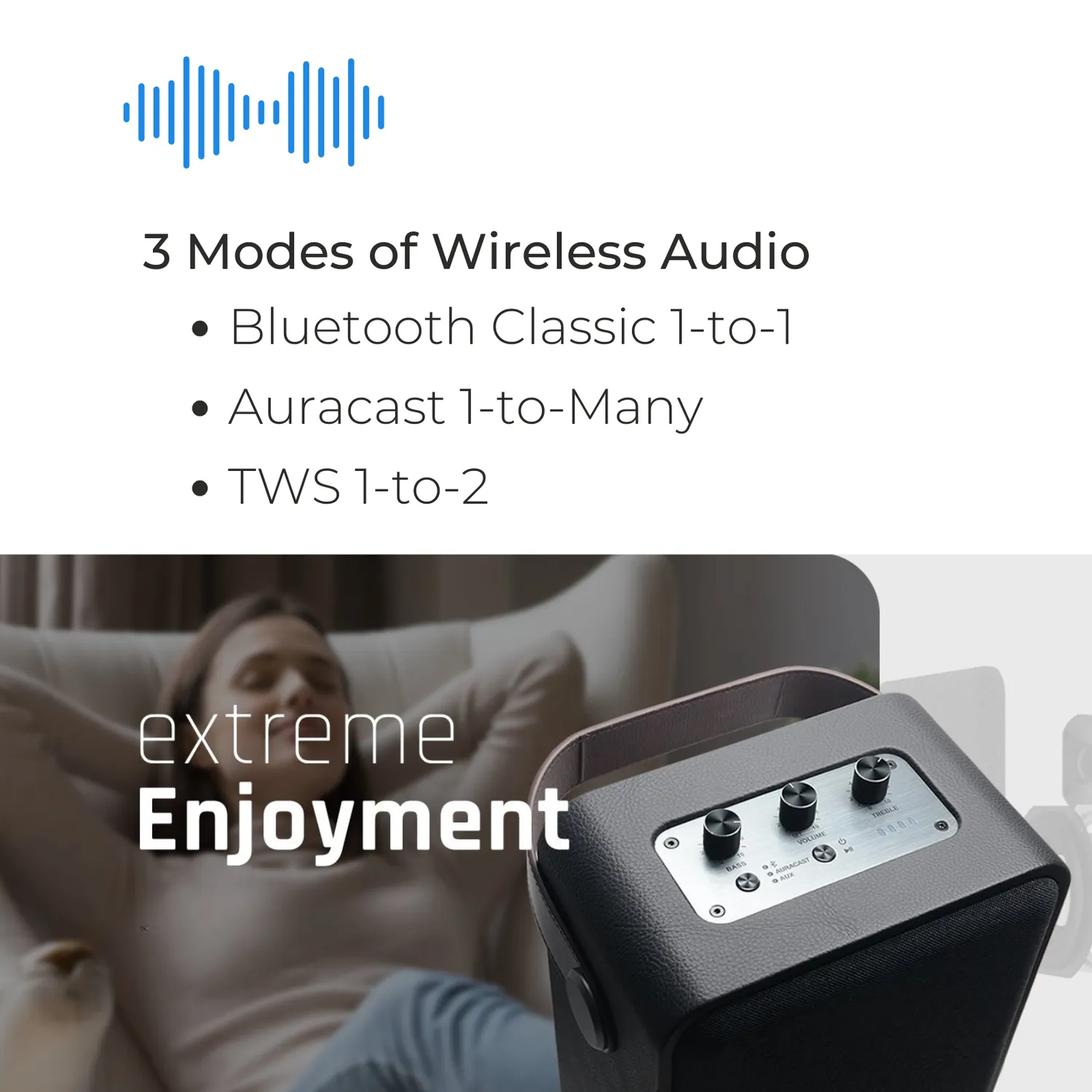 Moerlab The Show Auracast speaker 100W zwart