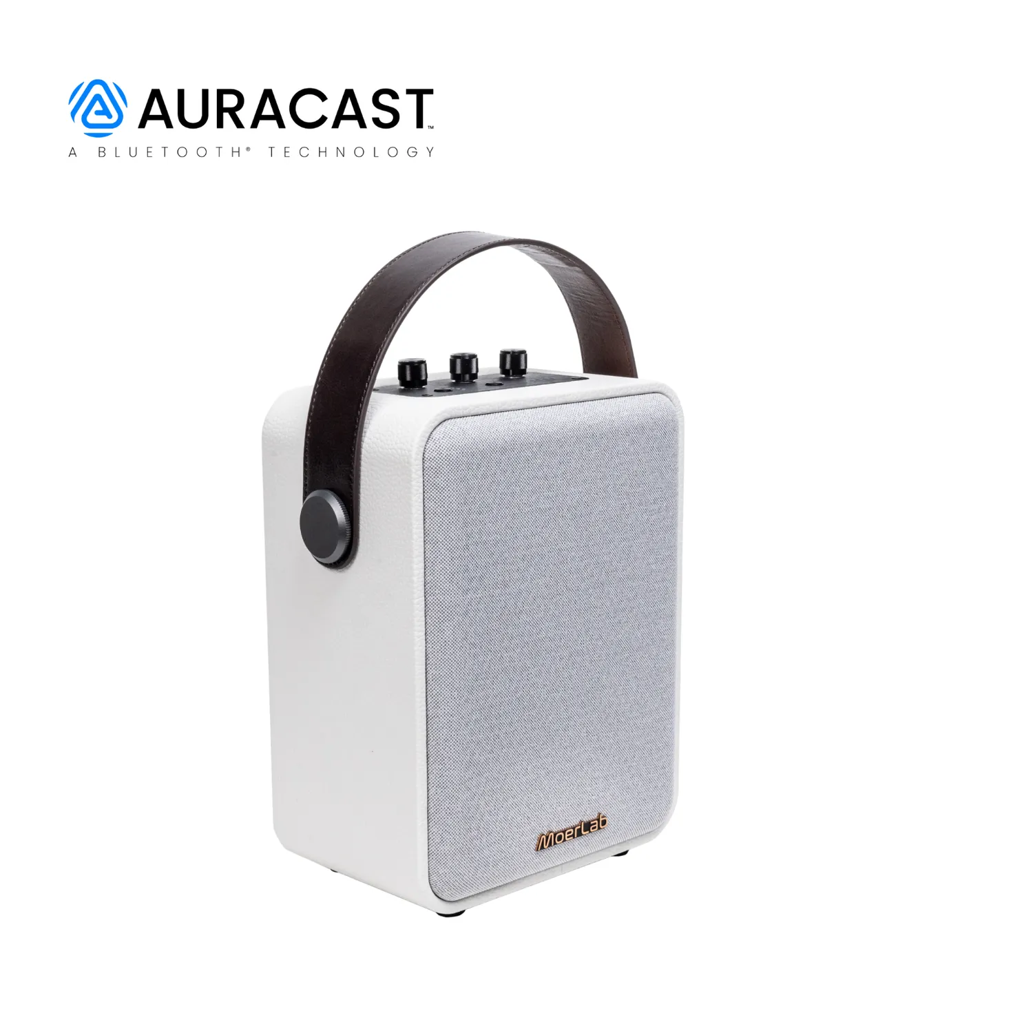 Moerlab The Show Auracast speaker 100W zwart