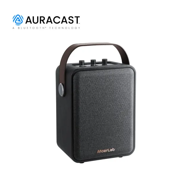 Moerlab The Show Auracast speaker 100W zwart