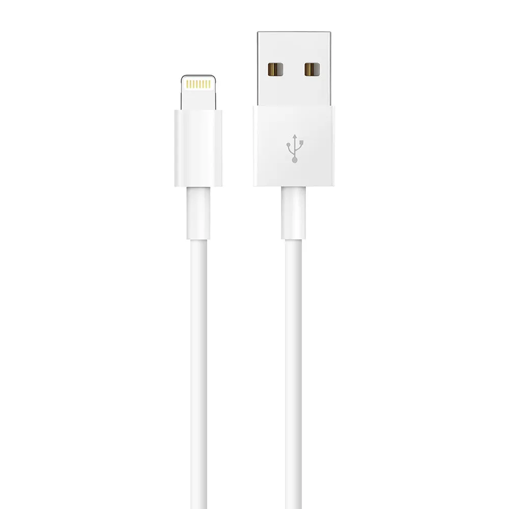 WISEQ iPhone Oplader Set Lightning 3 Meter Wit 5W